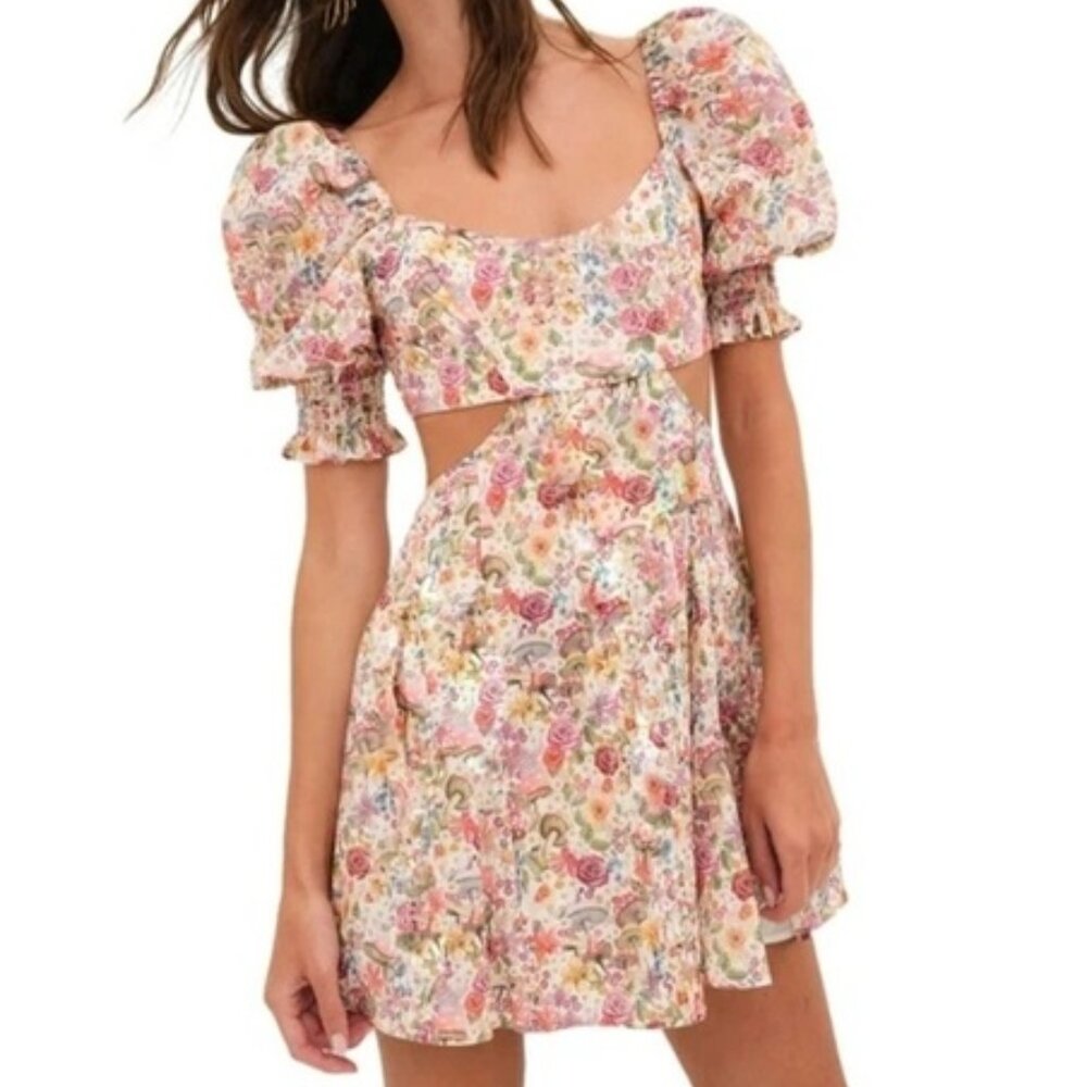 NWT For Love and Lemons Floral Mushroom Wonderful Print Mini Arya Dress M